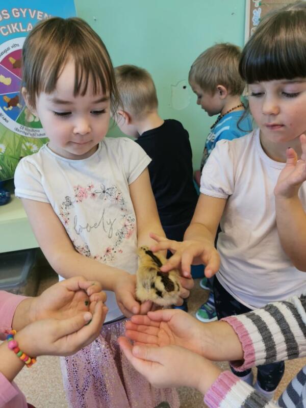 2020-10-20 Edukacija „Magiški kiaušiniai“ (1)