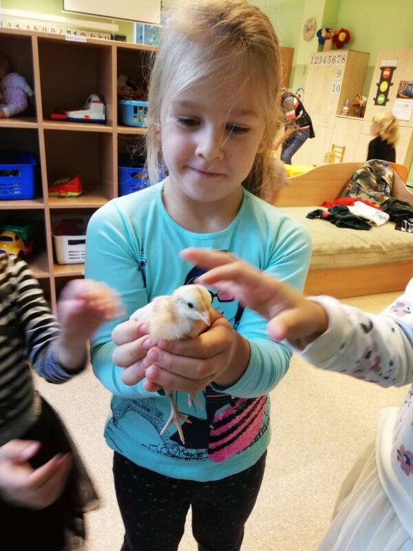 2020-10-20 Edukacija „Magiški kiaušiniai“ (2)