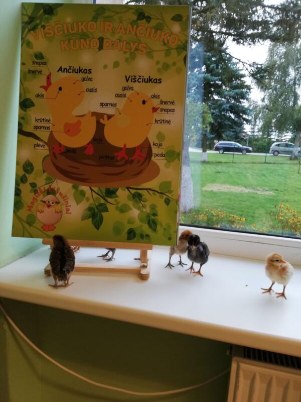 2020-10-20 Edukacija „Magiški kiaušiniai“ (3)