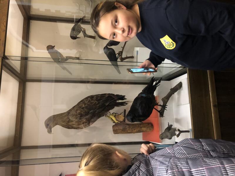 2020-10-22 Penktokų pamoka KU Gamtos muziejuje (3)