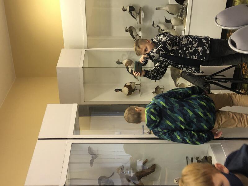 2020-10-22 Penktokų pamoka KU Gamtos muziejuje (4)