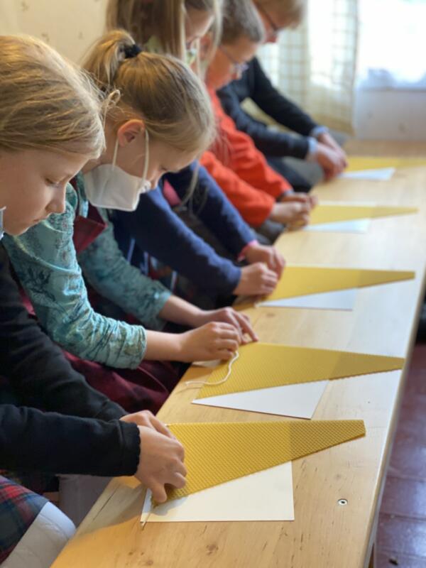 2020-10-23 „Kas slypi vaistažolių kraitelėje“ (2)