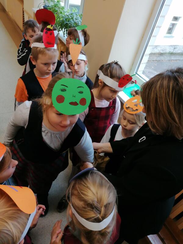 2020-10-23 „Kas slypi vaistažolių kraitelėje“ (4)