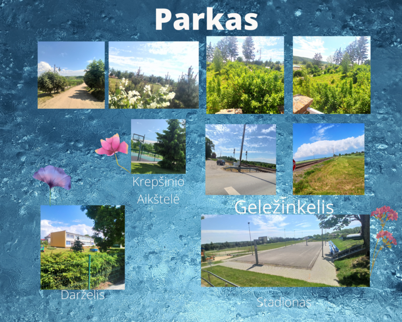 5 kl. Paulius Petrauskas