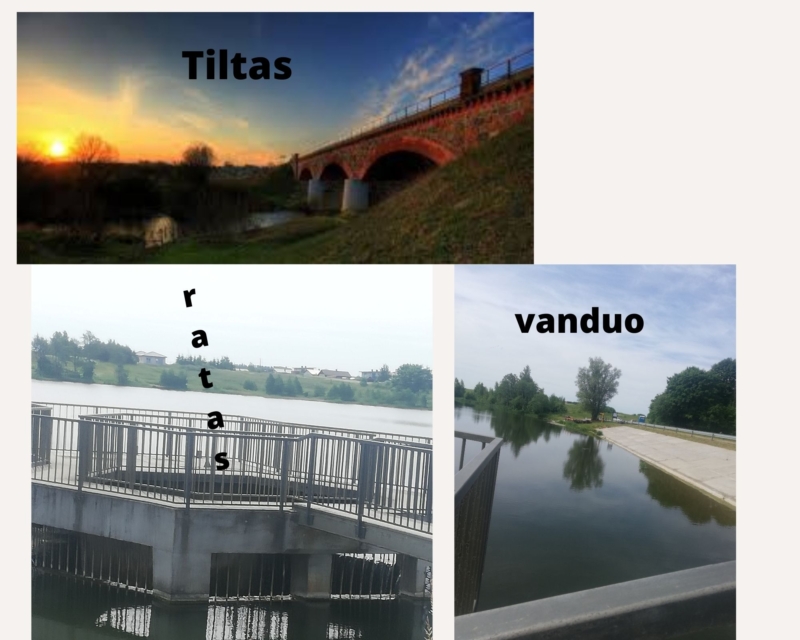 7 kl. Neidas Ivanauskas