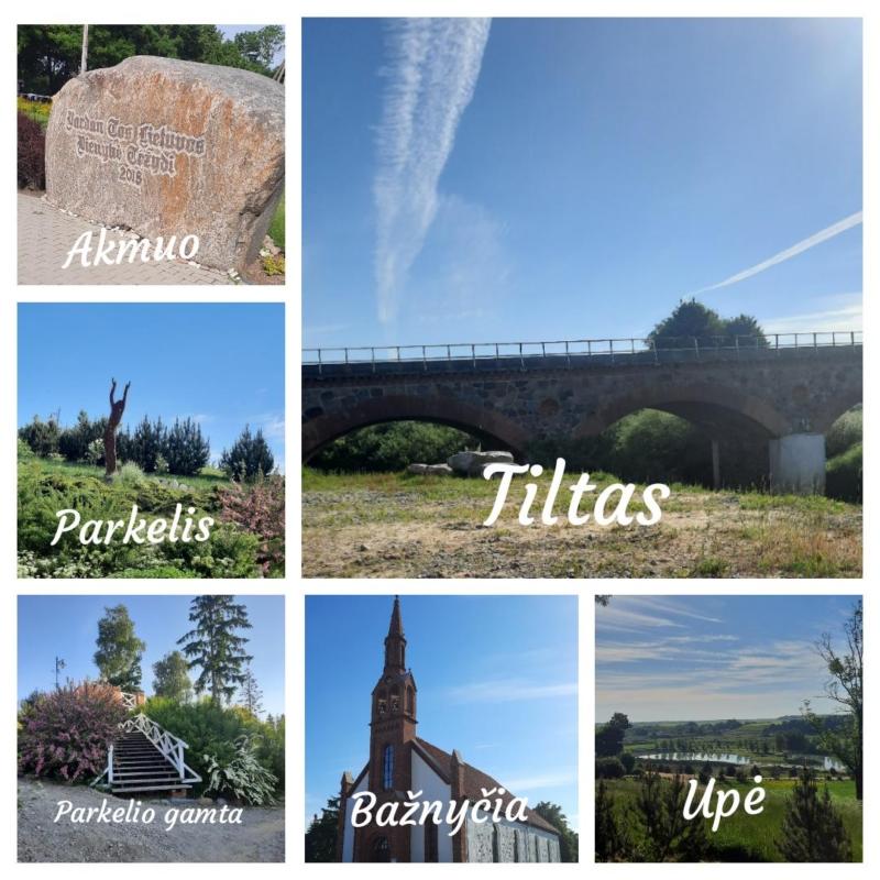 7 kl. Olivija Mikniūtė