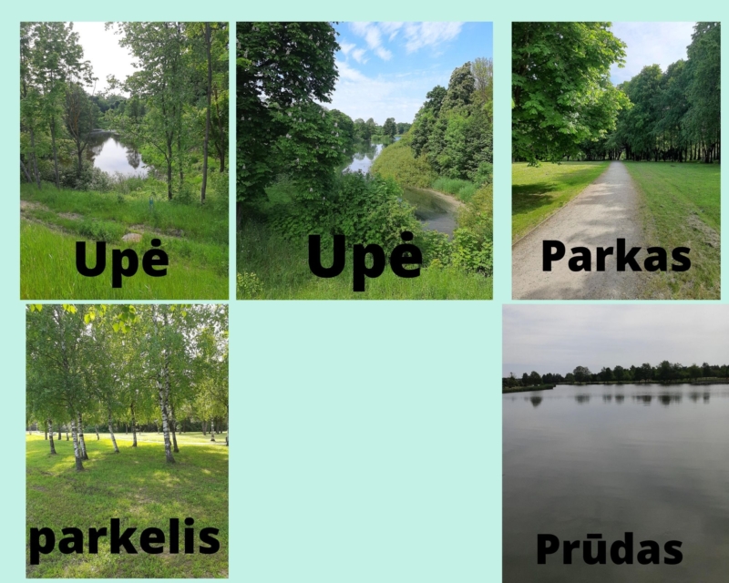 7 kl. Pijus Žukovskis