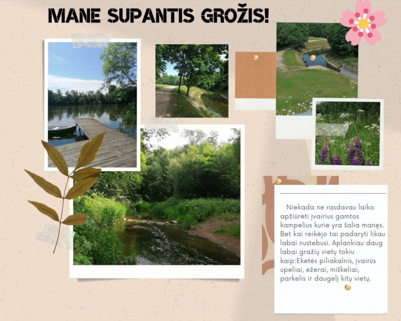 8 kl. Deimantė Jodeikaitė