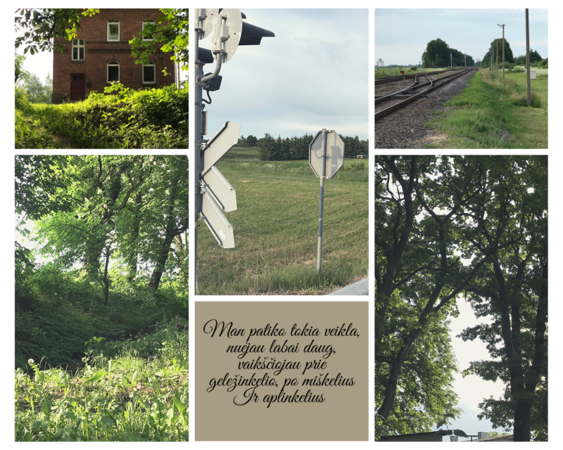 8kl. Gabrielė Smilgytė (1)