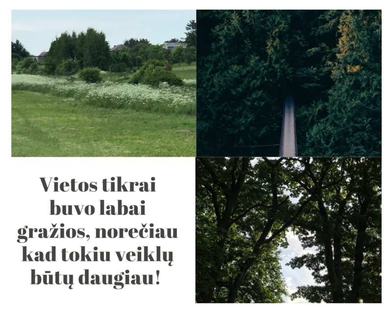 8kl. Gabrielė Smilgytė (2)