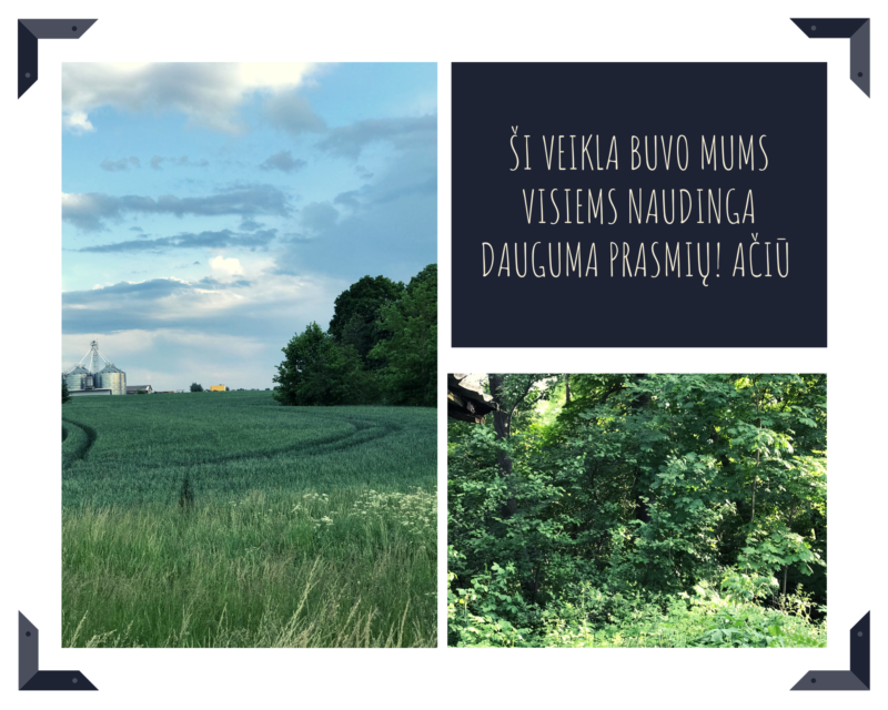 8kl. Gabrielė Smilgytė (3)