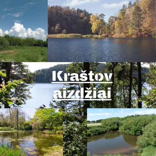 9 kl. Dovidas Žemgulys