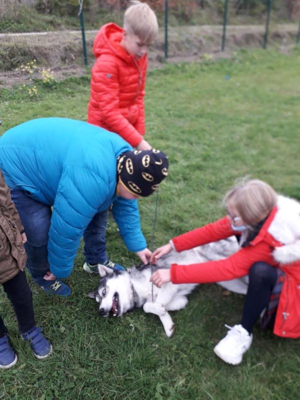 2021-10-04 Pasaulinė gyvūnų diena (3)