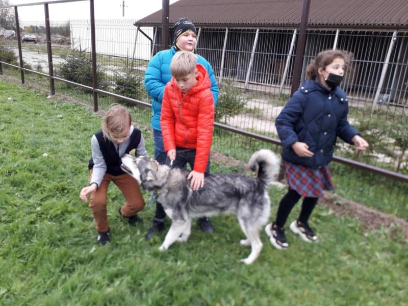 2021-10-04 Pasaulinė gyvūnų diena (6)