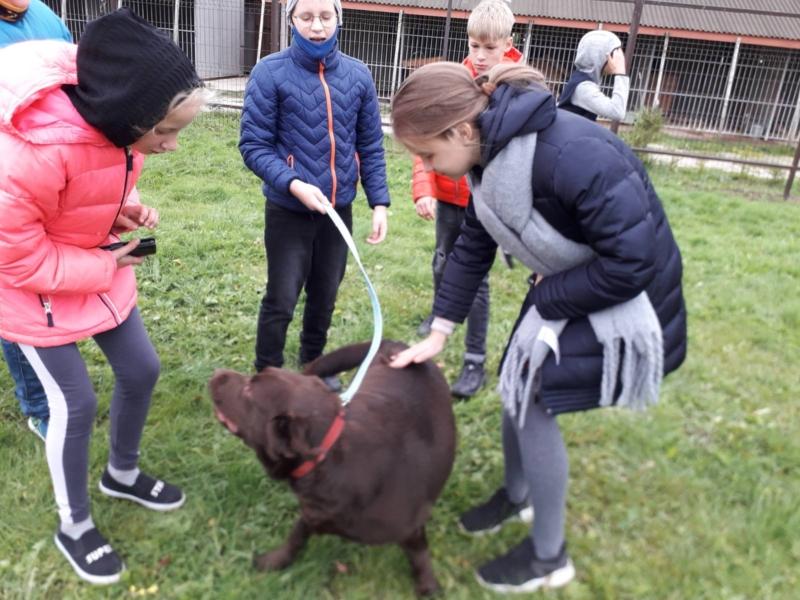 2021-10-04 Pasaulinė gyvūnų diena (7)