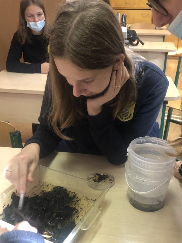 2021-10-14 „STEAM“ TYRINĖJIMAI MOKYKLOJE (4)