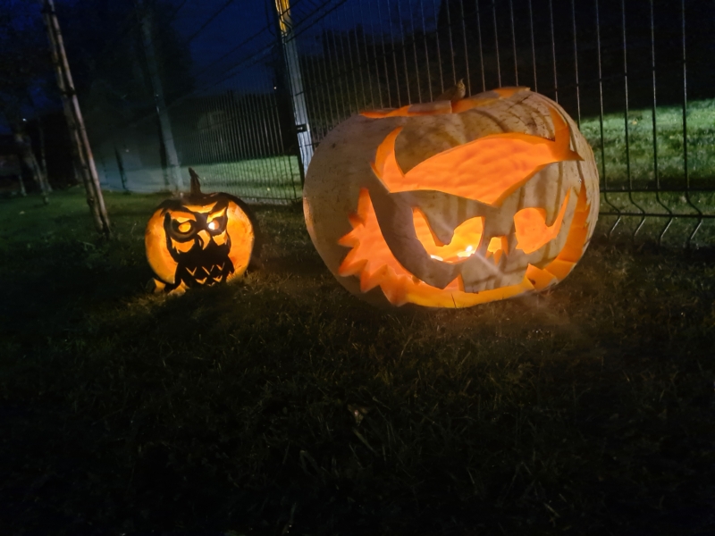 2021-10-29 Pokštas arba saldainis! (3)