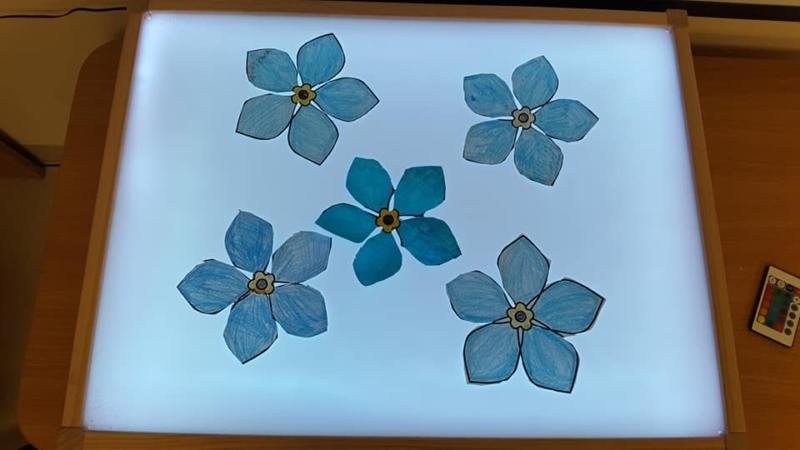 2022-01-13 Sausio 13-osios minėjimas (3)