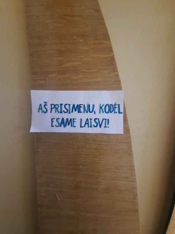 2022-01-13 Sausio 13-osios minėjimas (7)