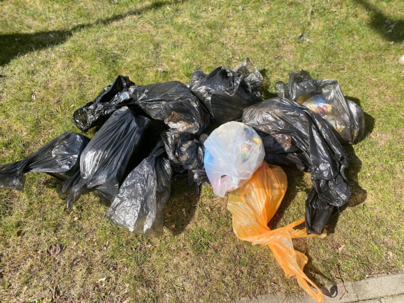 2022-04-12 Gamtos mokslų diena (13)