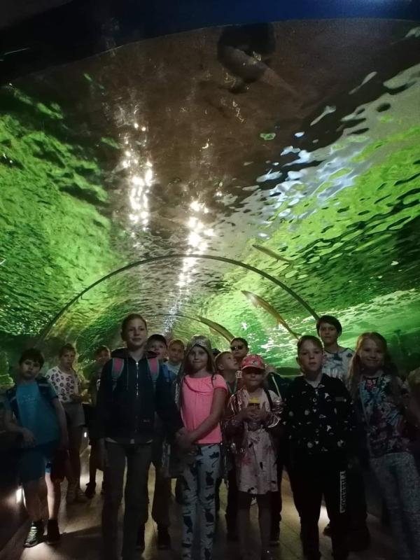 2022-06-20-Vaiku-vasaros-stovykla-„Pazink.-Patirk.-Pajausk-3