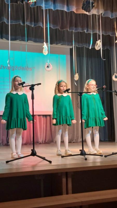 2022-12-15-Regioninis-dainu-ir-sokiu-festivalis-„Kaledine-pasaka-3