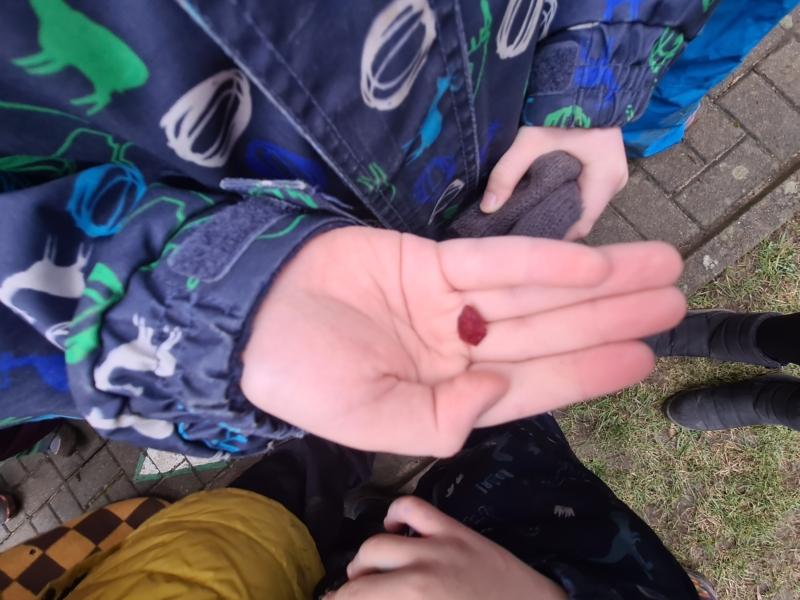 2023-01-26-Pusiauziemis-2