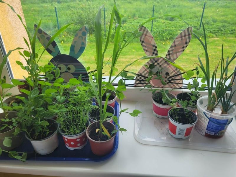 2023-05-16-Zaliosios-palanges-1