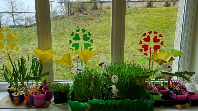 2023-05-16-Zaliosios-palanges-1