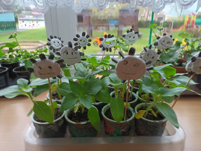 2023-05-16-Zaliosios-palanges-3