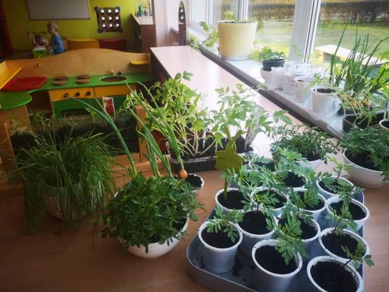 2023-05-16-Zaliosios-palanges-6