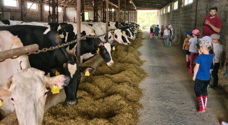 2023-05-26-Viesnage-ukyje-7